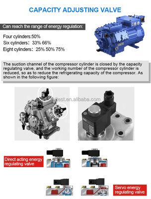 Vervaardiging Grote capaciteit Environmental Walk in Climate Chamber Met Vochtigheidscontrole Temperatuur Testroom
